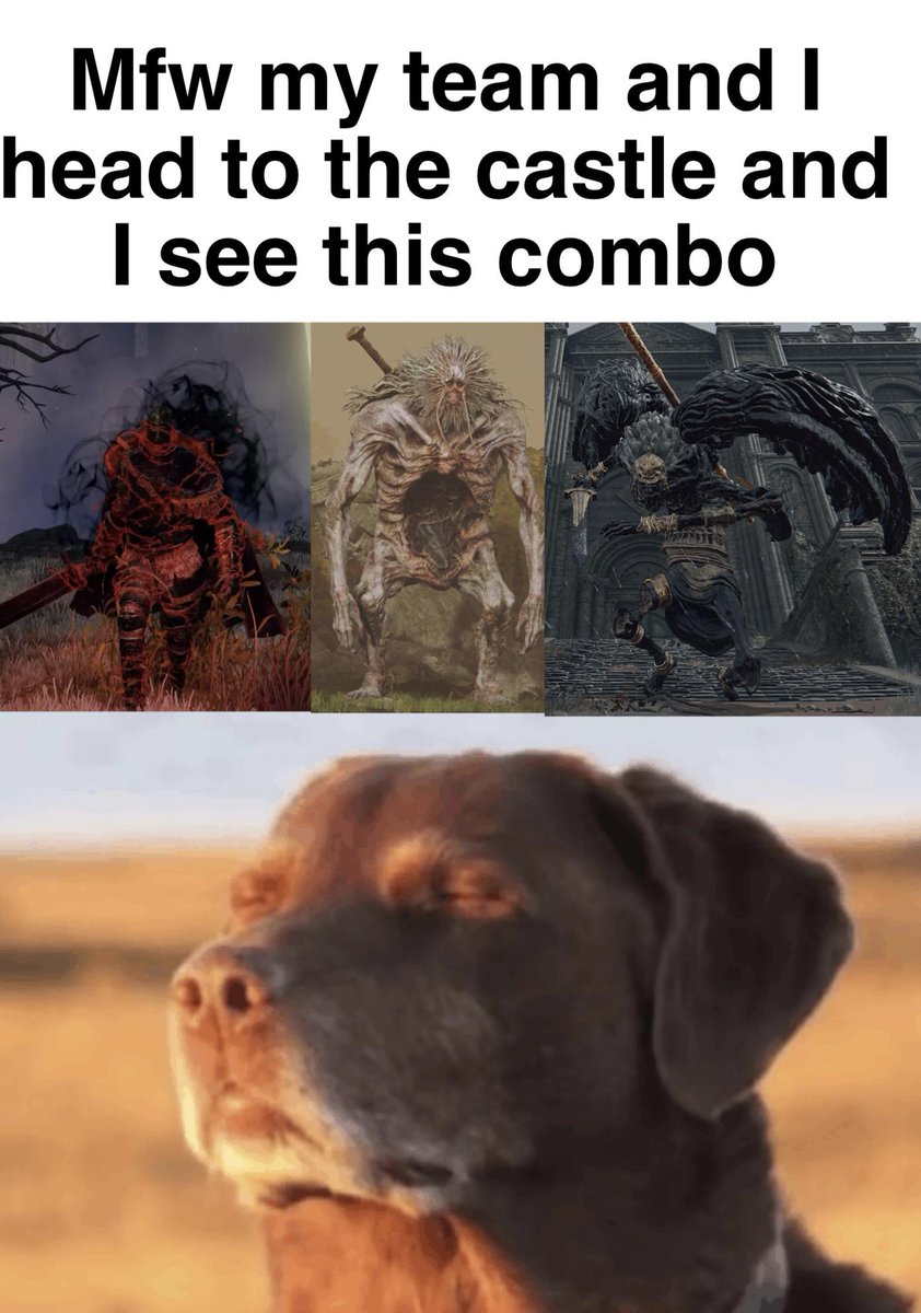 You get this combo. Wut u do #ELDENRING