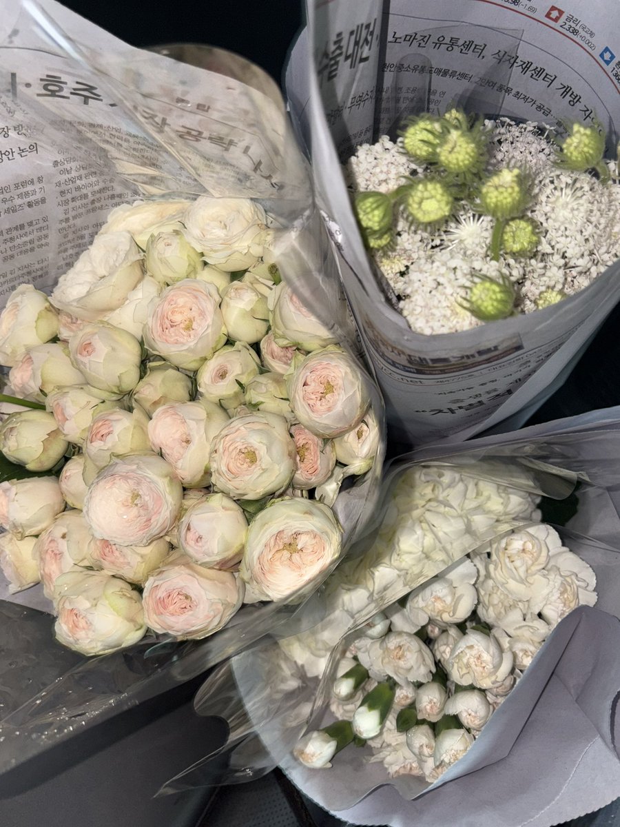 예쁜 건 같이 보기