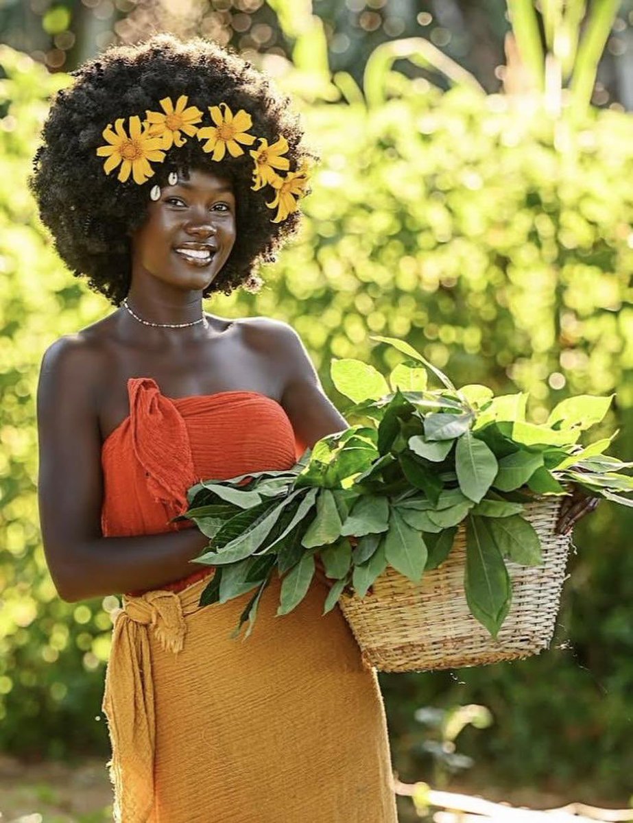 Mzilikazi wa Afrika tweet media