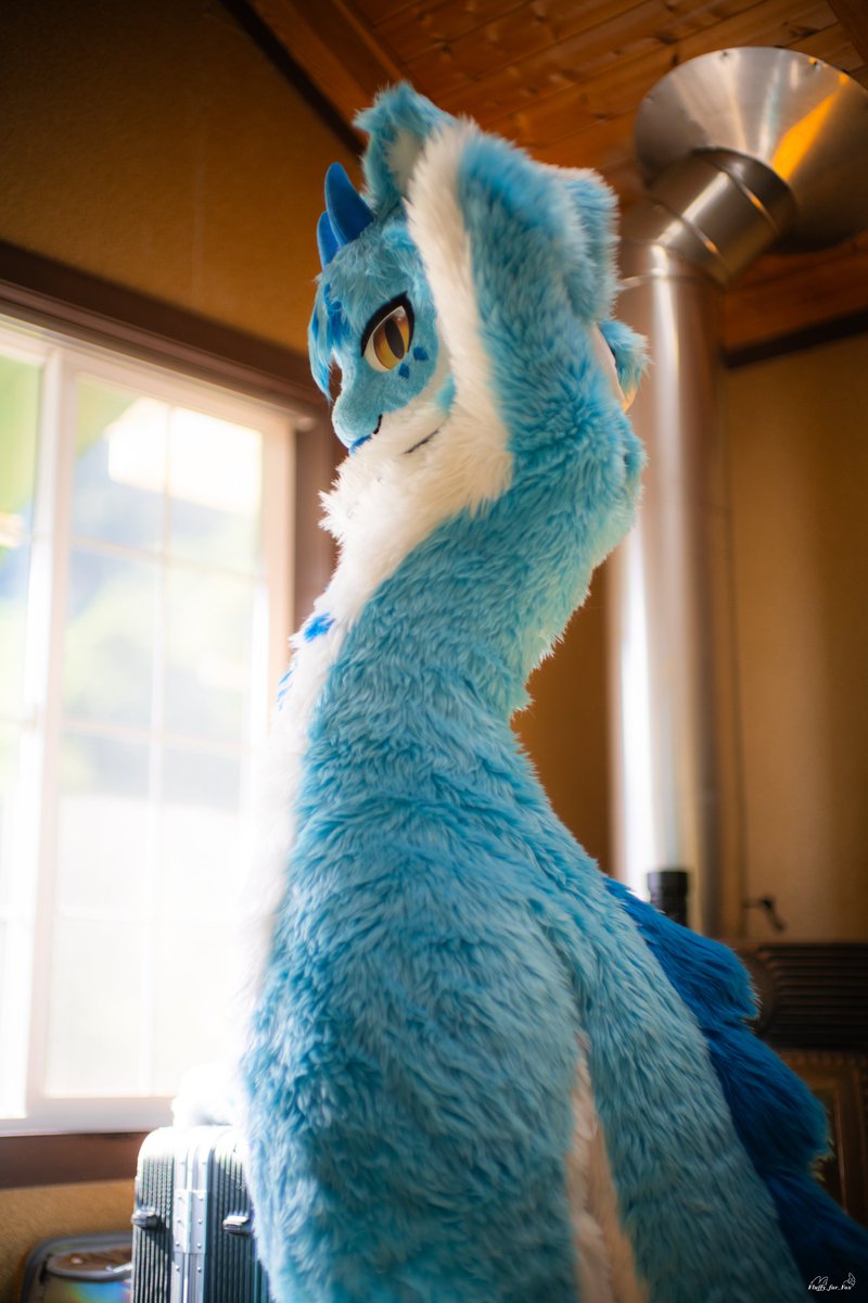 #FursuitFriday #Fursuit 

외출 준비
Ready to go out