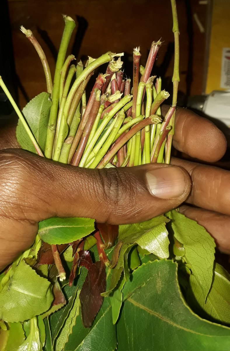 Ready to take off 🚀