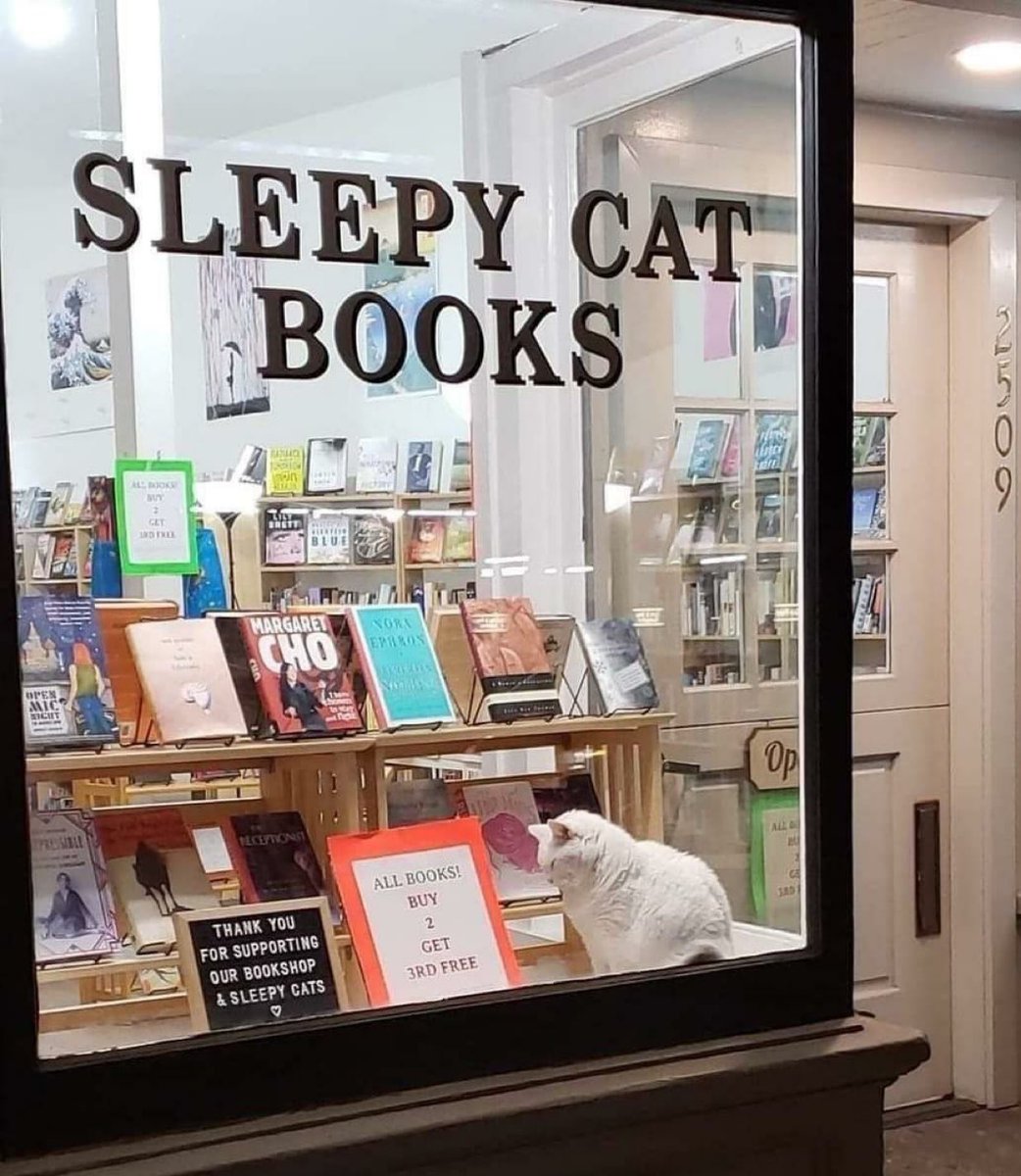 support your local bookstore (sleep in it)