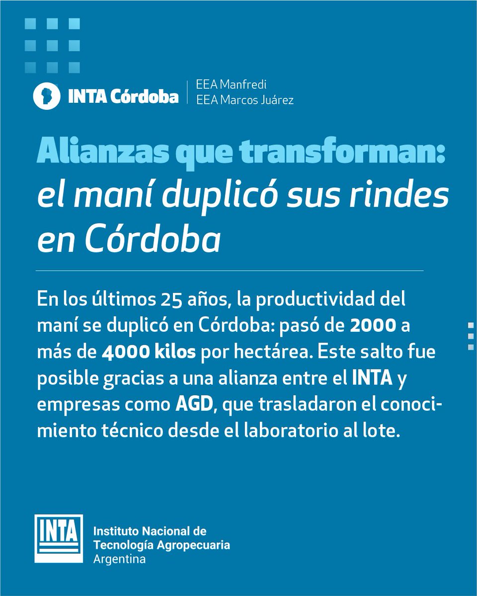 IntaManfredi's tweet photo. Alianzas que transforman: el #maní duplicó sus rindes en #Córdoba 🥜
🌱 En los últimos 25 años, la productividad del cultivo se duplicó: pasó de 2000 a más de 4000 kilos por hectárea en Córdoba. https://t.co/MtvDs4Czb9