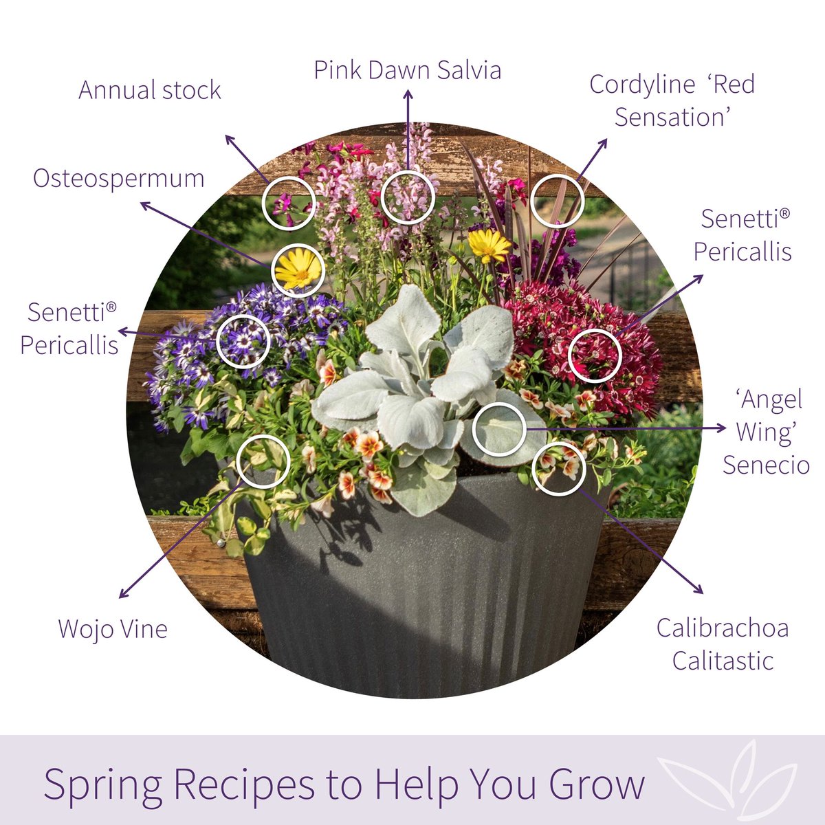 Spring is blooming! 🌸 We’re sharing inspiring container recipes by designers like Lynn Ott, all in our Fold planter. From bold to soft, each combo is a fresh take on seasonal beauty. Same planter, endless possibilities. 🌱 Follow for more!