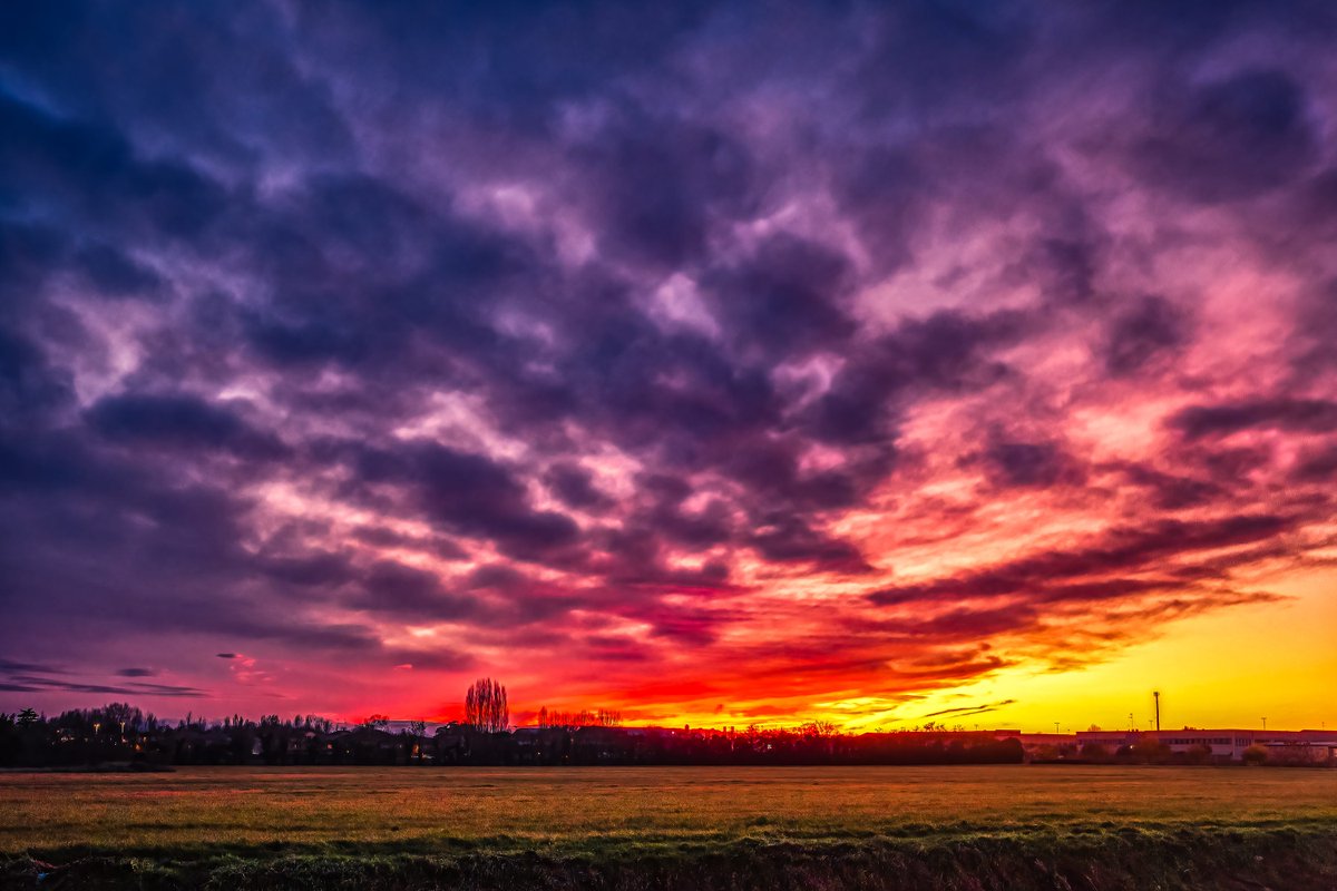 Vivida 🌻 (@vividaphotopc) on Twitter photo 