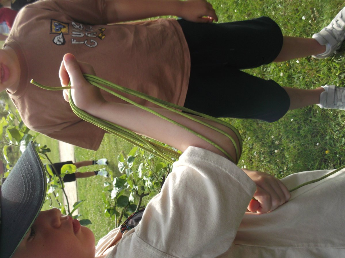 Y3 have enjoyed their final Wild Passport morning of the year. In the beautiful sunshine we have learnt how to wash and coil ropes to keep them in good condition. We also built some shelters using all the skills we have learnt throughout the year. 🌳