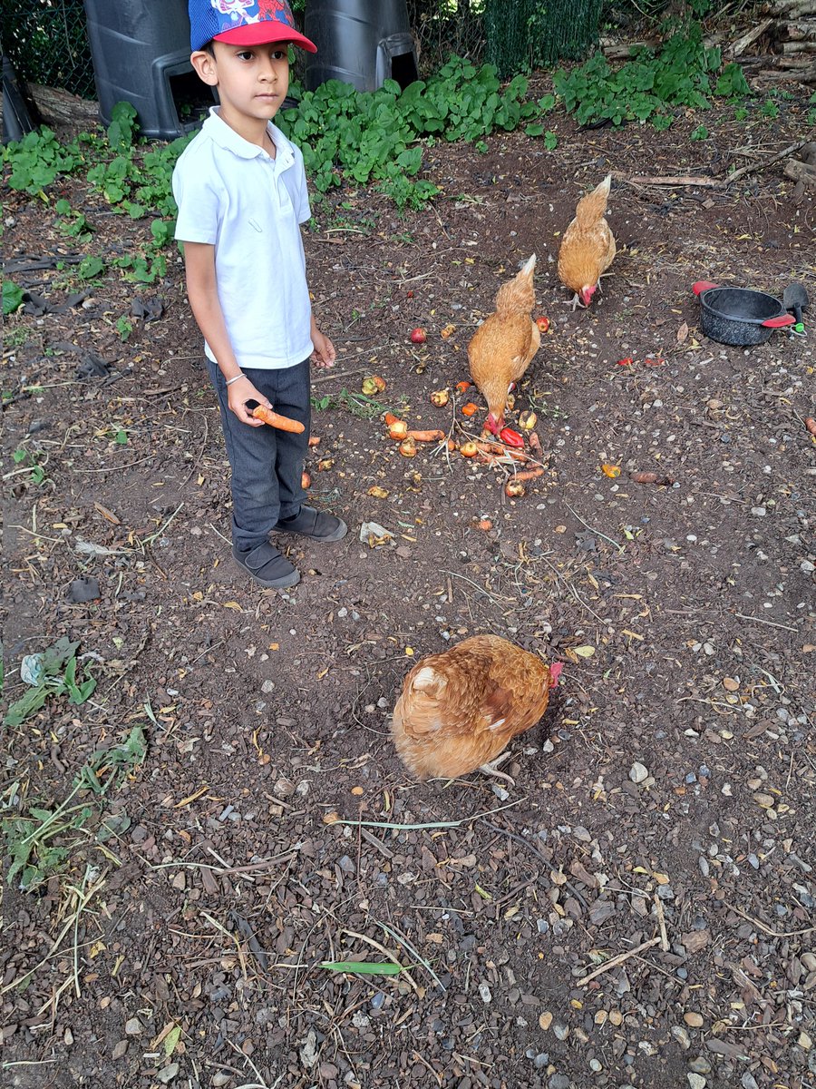 Mrs Rattley (@mrsrattleybh) on Twitter photo This morning EYFS enjoyed a trip to the chicken garden where we also saw our fabulous new den! Thank you so much <a href="/CreativeBHPS/">CreativeTeam</a> we love it! <a href="/busheyheathjm/">Bushey Heath Primary</a> <a href="/MissRossingtonR/">Nursery</a> <a href="/ReceptionBh/">Reception BH</a> #BusheyheathUW This morning EYFS enjoyed a trip to the chicken garden where we also saw our fabulous new den! Thank you so much <a href="/CreativeBHPS/">CreativeTeam</a> we love it! <a href="/busheyheathjm/">Bushey Heath Primary</a> <a href="/MissRossingtonR/">Nursery</a> <a href="/ReceptionBh/">Reception BH</a> #BusheyheathUW