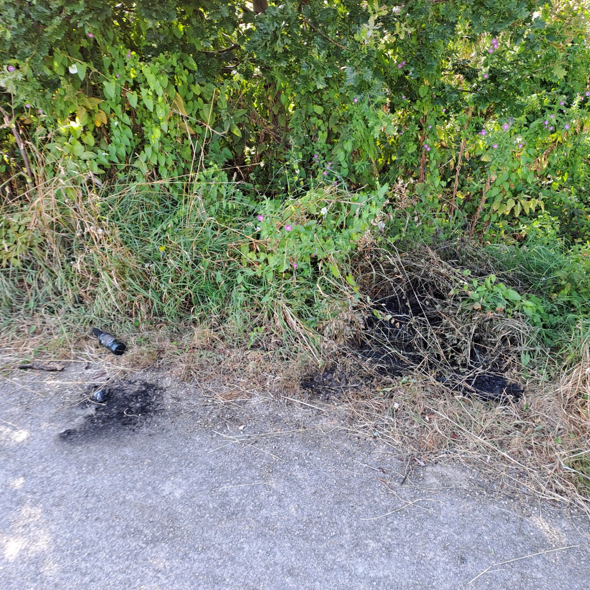 Wildfire risk is high. ⚠️ 

Wildfires can start easily and spread quickly in hot, dry weather.

Glass and other litter left on dry vegetation have caused fires in the past.

Help protect people, wildlife, and landscapes by taking your litter home.

#CountrysideCode