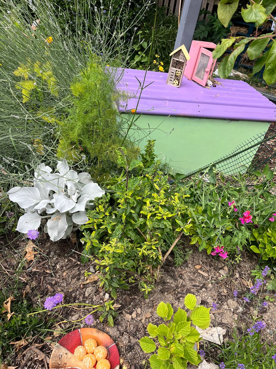 St. Thomas' Senior National School tweet media