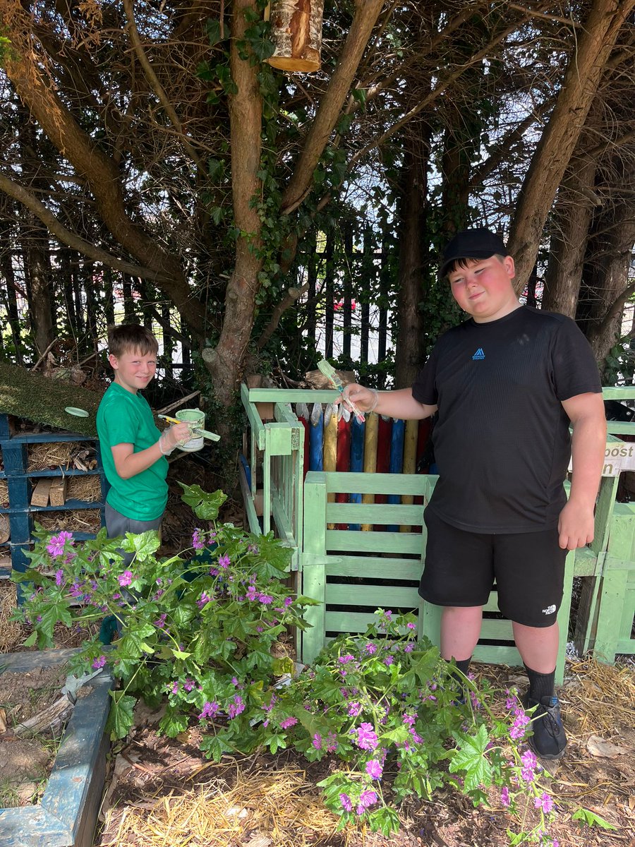 St. Thomas' Senior National School tweet media