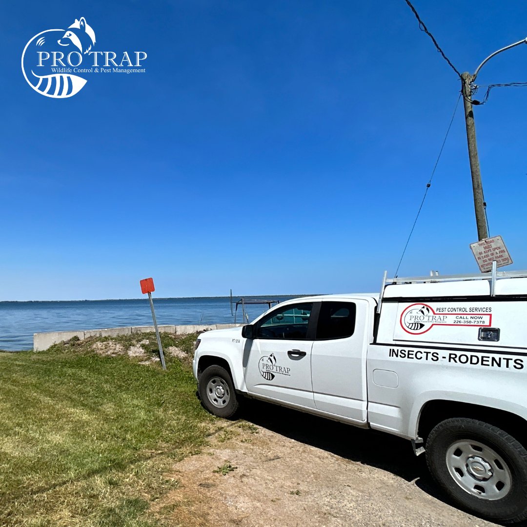 Your neighborhood pest control heroes!

Call (226) 350-7378 for swift and safe solutions.

#ProTrap #PestControl