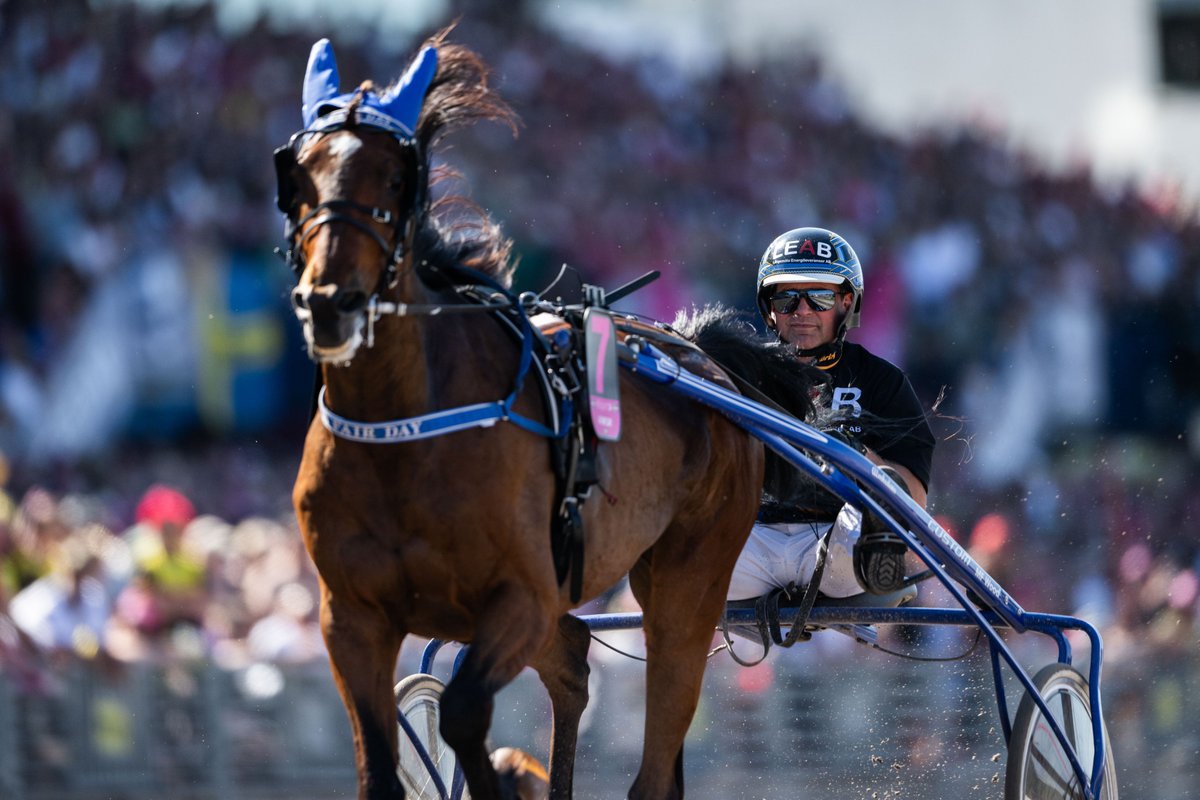 ⭐️V75 med jackpot och A Fair Day ⭐️ 

Sillen, jordgubbarna och nubben får ursäkta - vi har dukat upp en grym midsommar-meny inne på travtjansten.se med tips till Lindesberg, Rättvik och Kalmar. 

Vi bjuder på ett drag till varje bana inne på hemsidan. 

Glad midsommar! 🌸