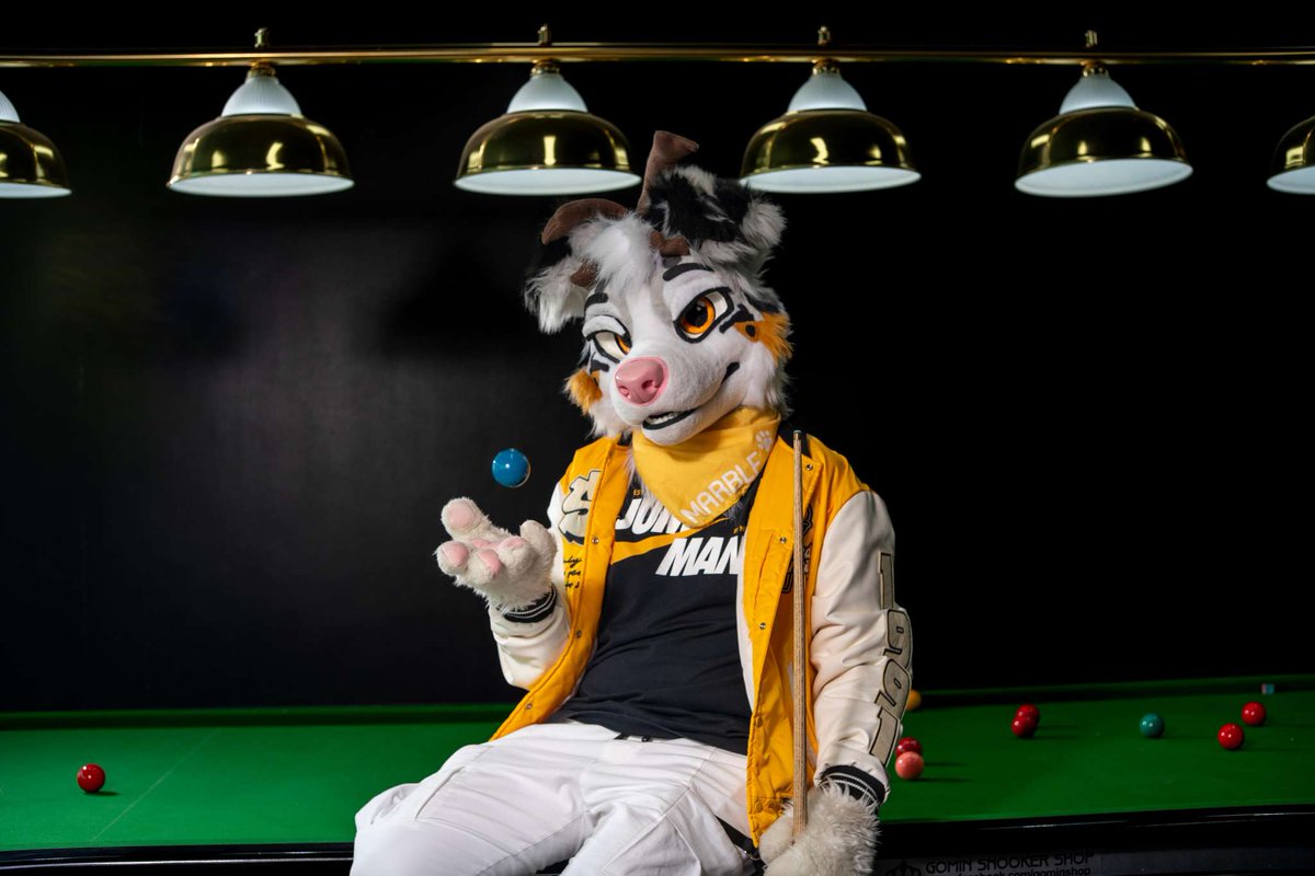 Marble (@marble_dcollie) on Twitter photo Dog play with balls, right? ๐ฑ
๐ชก : <a href="/AlphaDogsStudio/">Alpha Dogs</a>
๐ธ : <a href="/PolarTheLion/">PolarTheLion</a>
#FursuitFriday Dog play with balls, right? ๐ฑ
๐ชก : <a href="/AlphaDogsStudio/">Alpha Dogs</a>
๐ธ : <a href="/PolarTheLion/">PolarTheLion</a>
#FursuitFriday