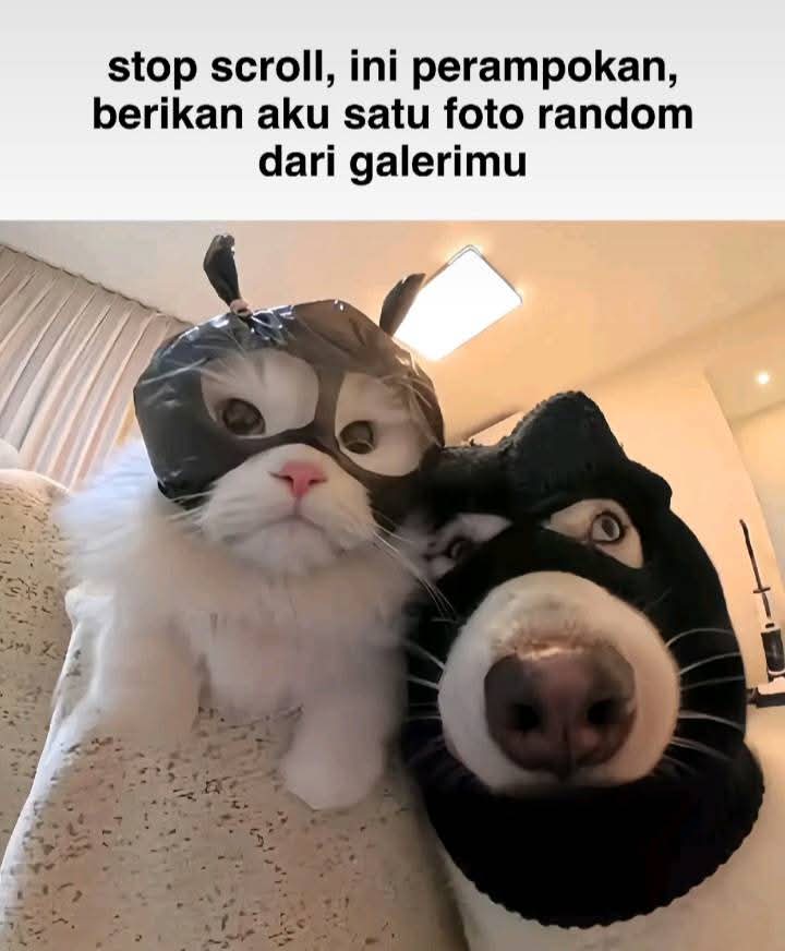 Ketawa itu GRATIS 🛩 tweet media