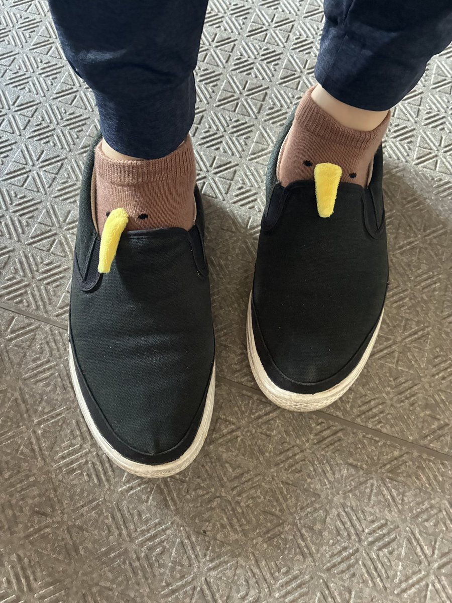 キウイの靴下が靴を履いてもなおキュートだったから見てくれ