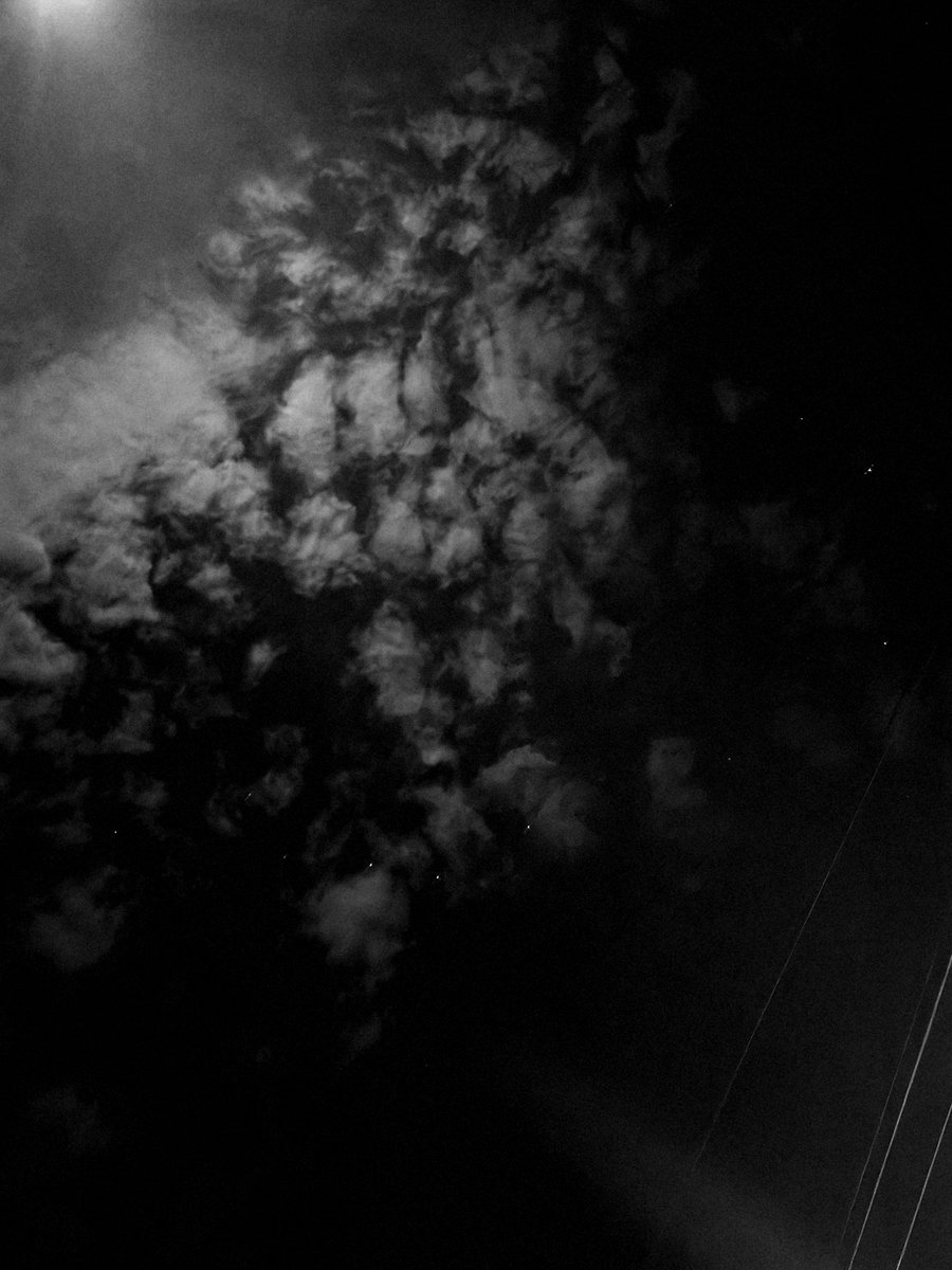 ミ하서𑁍 tweet media