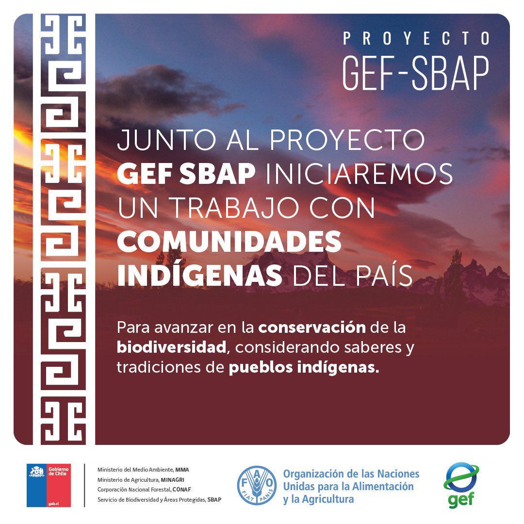 En este #DíaDeLosPueblosIndígenas reconocemos su rol en la conservación de la biodiversidad 🌱

A través del Plan de Pueblos Indígenas, el #ProyectoGEFSBAP del <a href="/MMAChile/">Ministerio del Medio Ambiente</a> y <a href="/FAO/">Food and Agriculture Organization</a> promoverá su participación en las experiencias piloto de Atacama, RM, Valparaíso y Magallanes 🌎