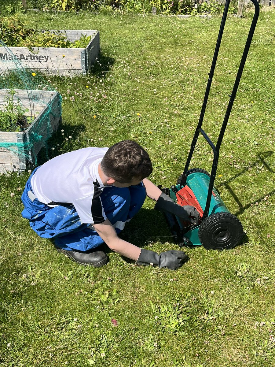 MrnicolN's tweet photo. Lovely sunny afternoon at the @SpringhillComm1 yesterday. The new @northfieldaca team were busy cutting grass, watering the plants and helping put up the gazebo. Always good to make time for fresh 🍓 😄. https://t.co/yu8adNIG0P