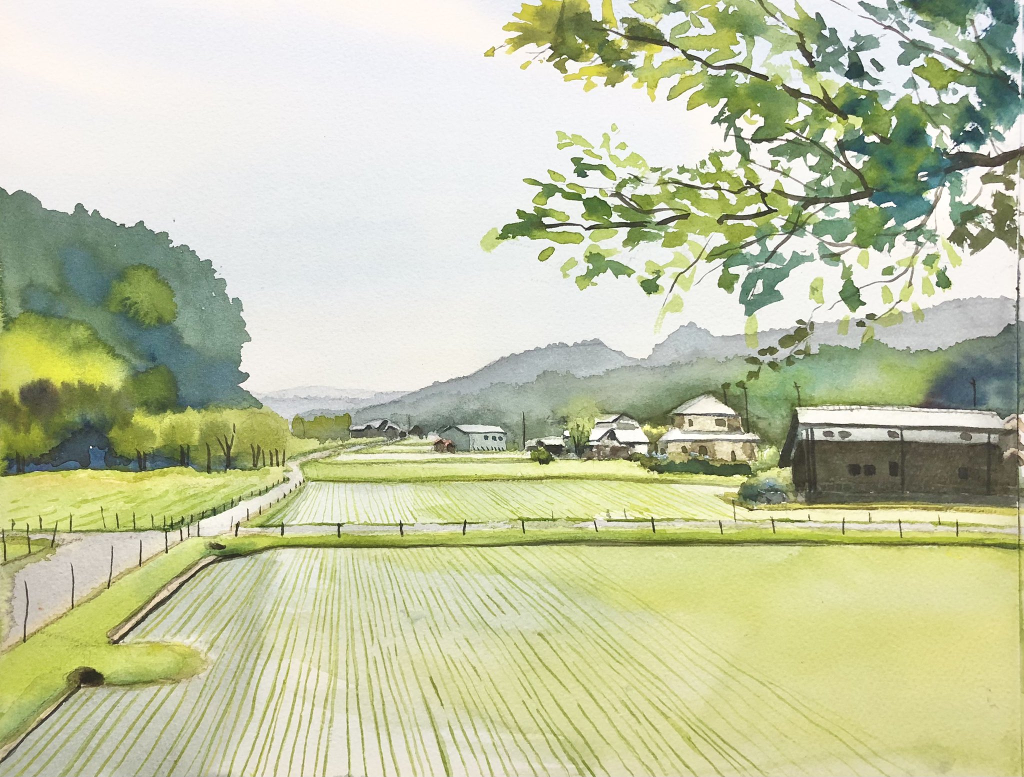 帆船码头·水彩50x36cm #urbansketchers #drawing #watercolor