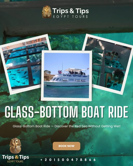 TRIPS_TIPS11's tweet photo. π Discover the Red Sea without getting wet! π
Hop on a Glass-Bottom Boat in Hurghada or Sharm El Sheikh and glide over vibrant reefs & tropical fish β perfect for families!
π 01500478866
π https://t.co/DtRhqIemDl
#GlassBottomBoat #RedSea #Hurghada #SharmElSheikh #EgyptTravel https://t.co/rUy907VrIw