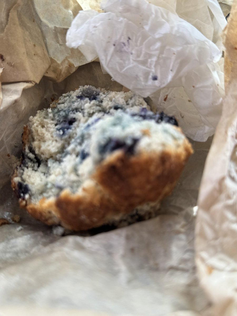 anybody want the stump? saved it for you!