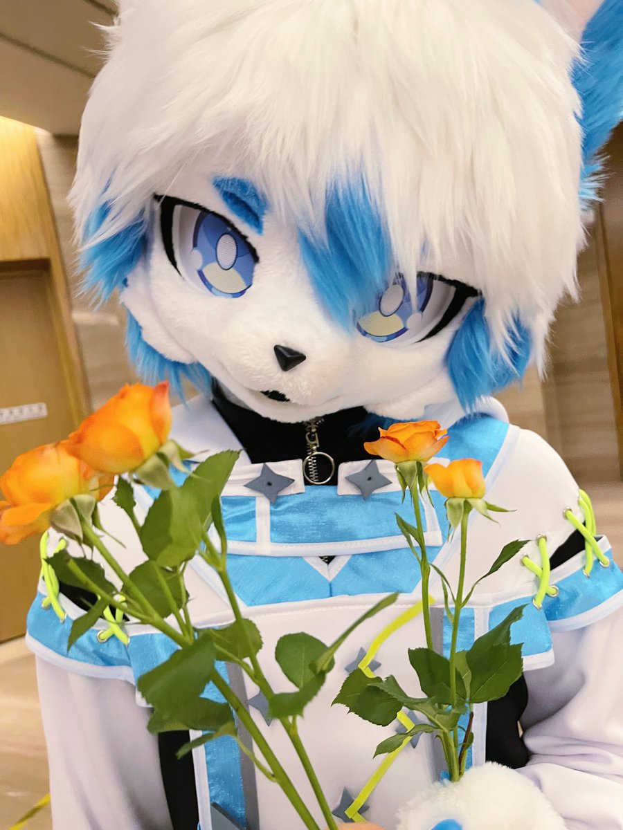💐

📷:<a href="/Amiu333/">Miu</a> 
#FursuitFriday
