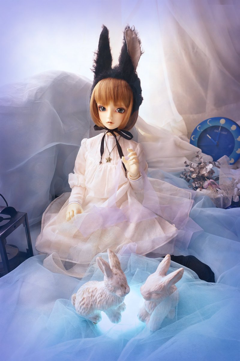 #今夜のドール撮影120分一本勝負
【ひろう】〜過去〜

静かな夜に
囁く夜話は
月のうさぎたち……

＃うちのこかわいい　
＃スーパードルフィー