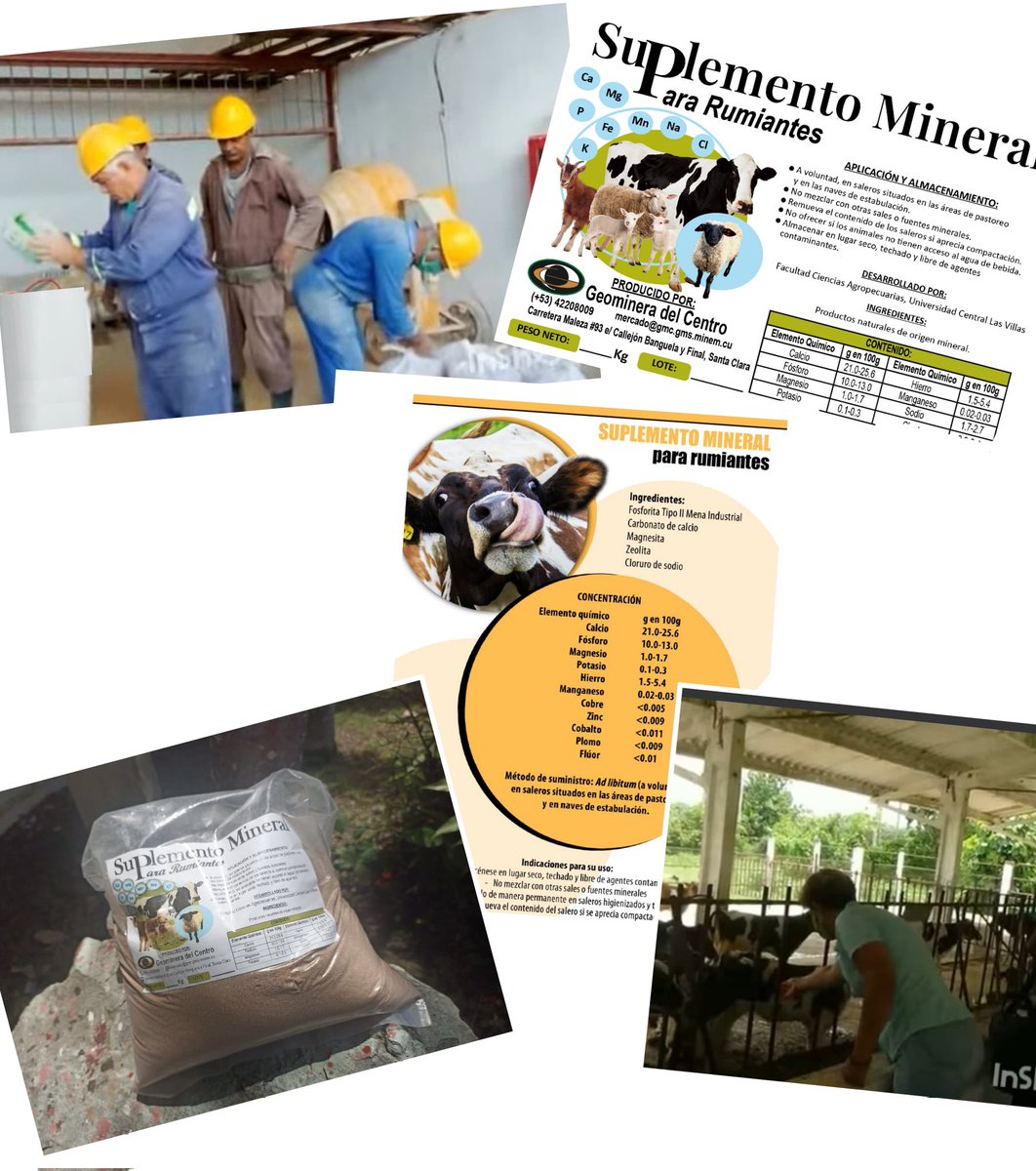 Se incrementa la producción y venta del Suplemento Mineral para Rumiantes 
-Su aplicación garantiza profilaxis y el tratamiento a enfermedades causadas por deficiencias de minerales, y para el mejoramiento del estado metabólico y bioproductivo de animales rumiantes adultos.