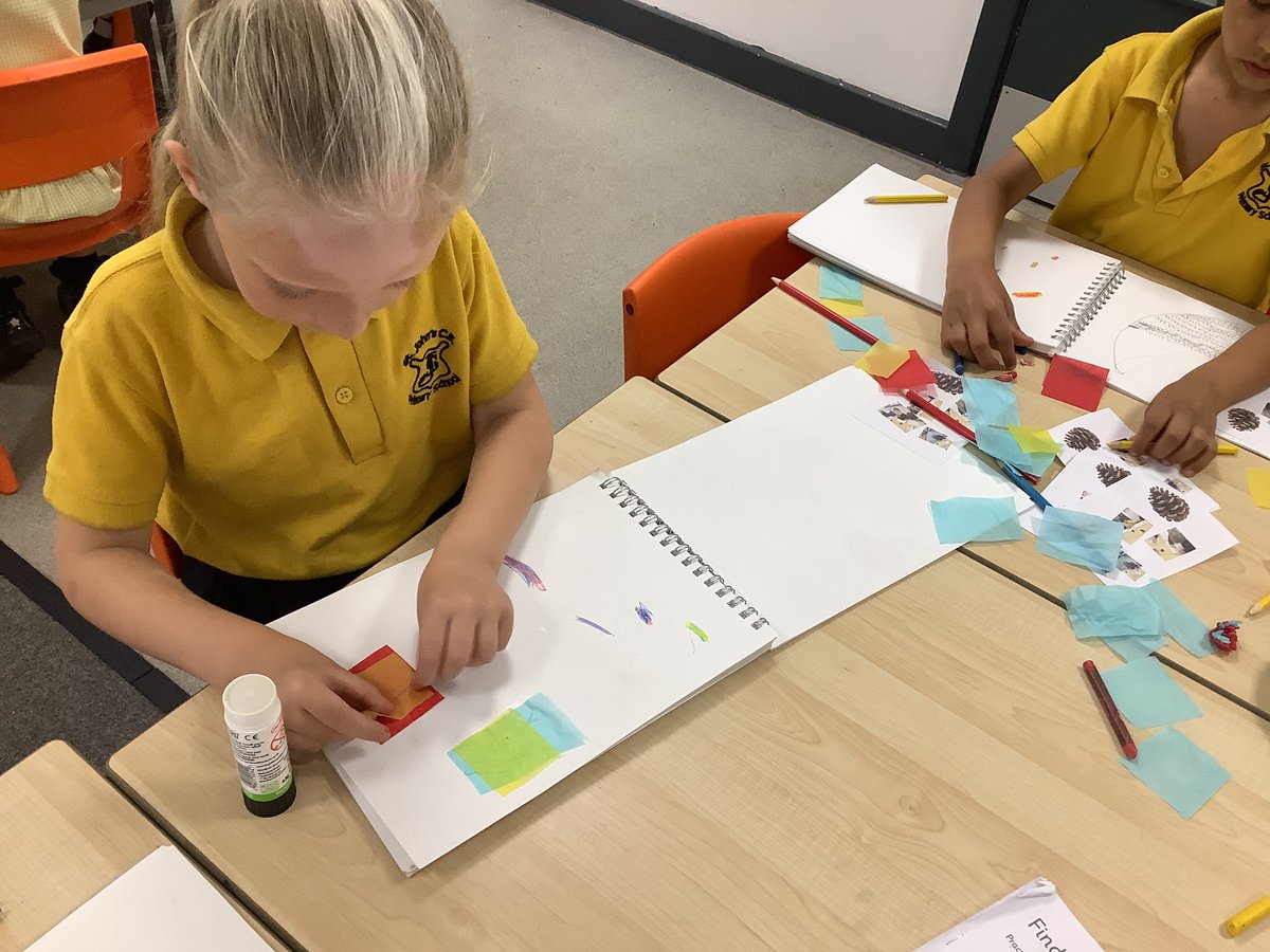 Year 1 St John’s tweet media