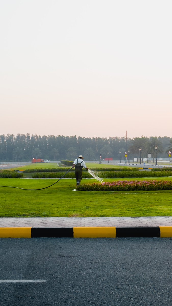 الشارجه حياة🌿