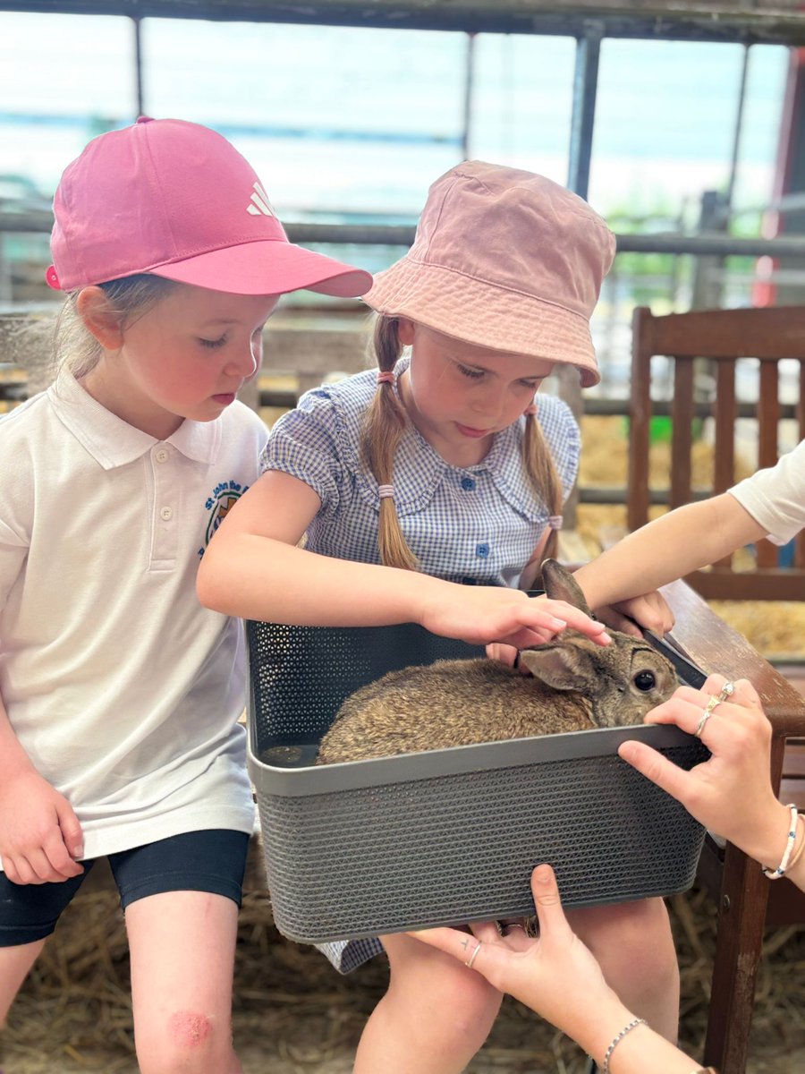 SJBPS11's tweet image. P2HC had a great time visiting @LaganvaleF So much fun in the sun!