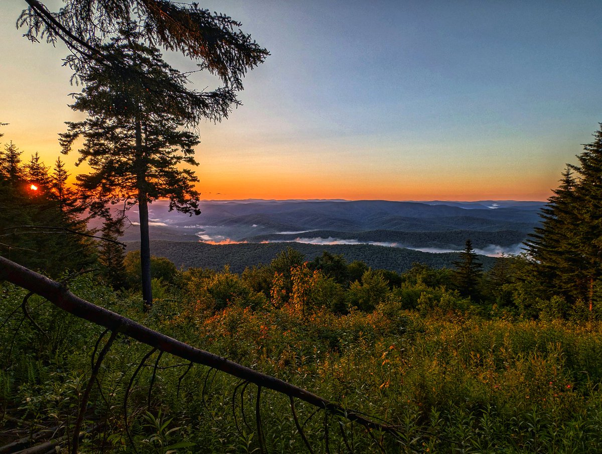 Happy West Virginia Day, Almost Heaven!