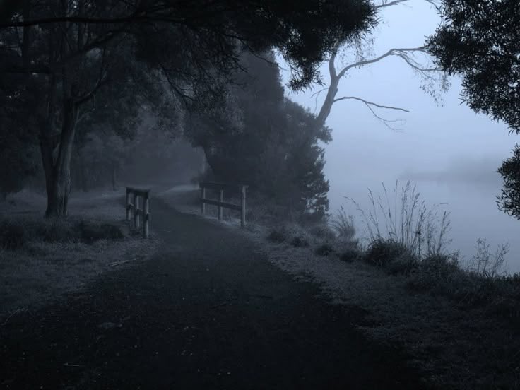 salt (@ancilladominii) on Twitter photo 