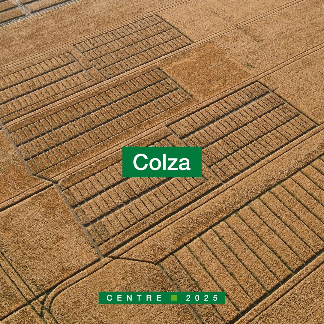 [QUOI DE NEUF - REGION CENTRE]

Les moissons arrivent à grands pas ! 🌾
Dans certaines zones, les premières parcelles d’orge seront prêtes dans 8 à 15 jours, avec un bon potentiel en perspective.

🔍 À retenir cette semaine :
▪️Céréales : Les blés sont au stade pâteux (85). Les