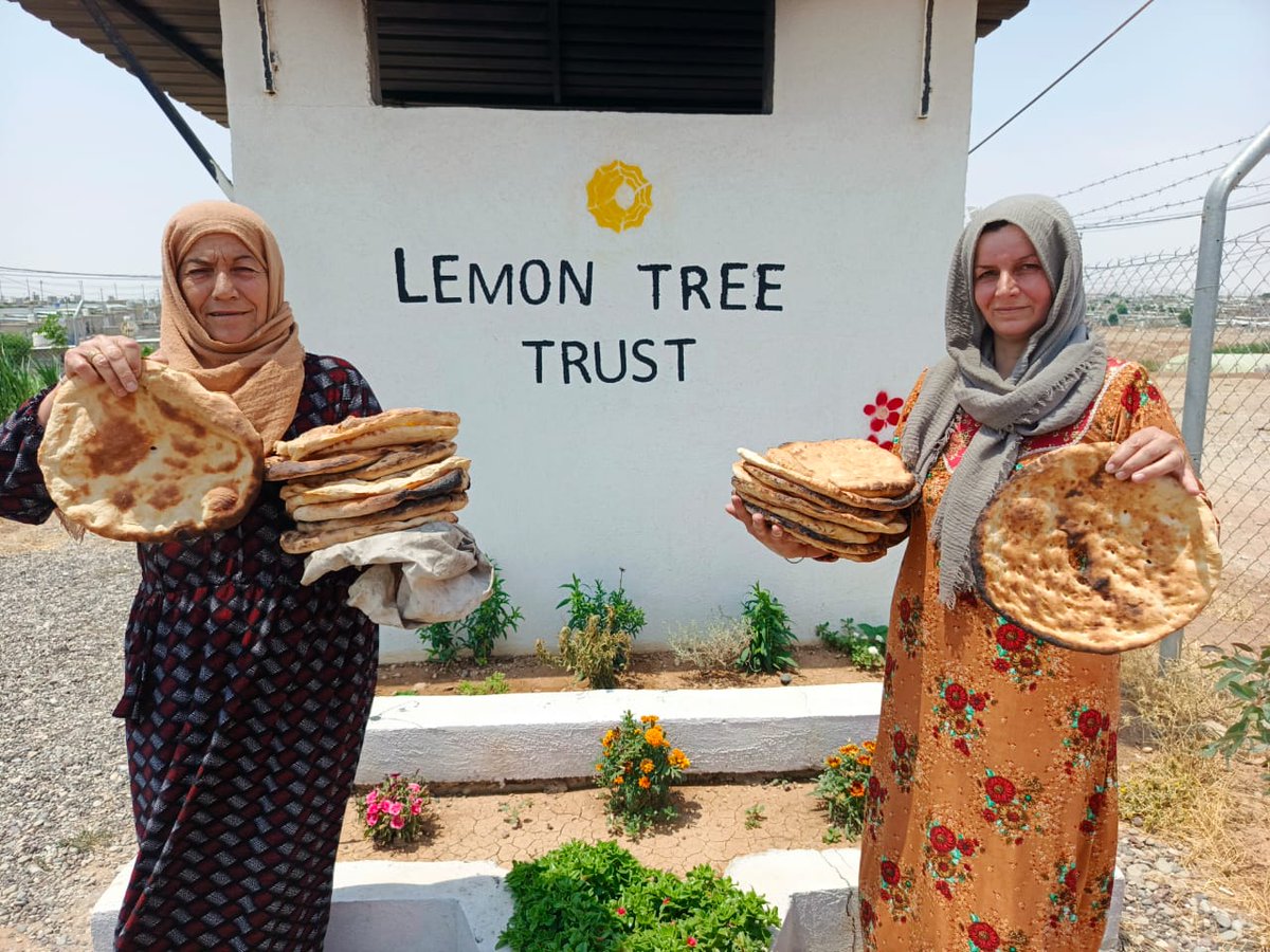 Lemon Tree Trust tweet media