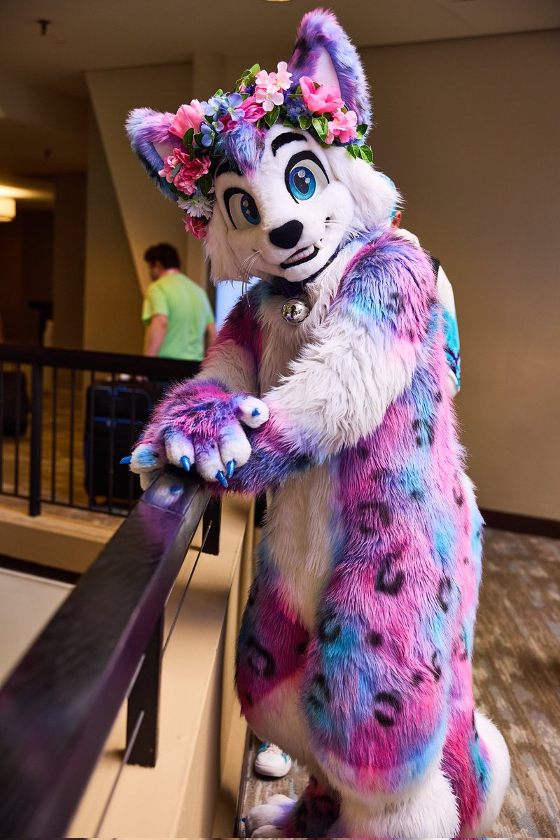 ✨🐈Trying To Be A Pretty Kitty For #FursuitFriday! 🐈✨

📸 - <a href="/amphalicious/">Tullem</a> / <a href="/RigelDerg/">Rigel</a>