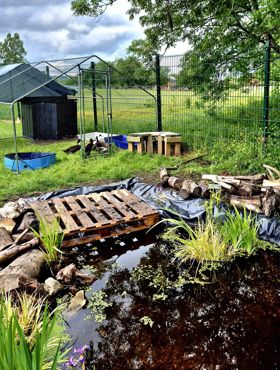 ROMCATSMM's tweet photo. Thank you for your donations to Forest School. New Polytunnel Cover has been purchased, duck/rabbit enclosure, new gardening tools for the pupils. Pupils in Y1 got to enjoy our home grown fruit/veg today. Fr Joseph also came along to try this.  @RomeroCAT1 @SalfordDiocese @CAFOD https://t.co/HMKcUeBMVM