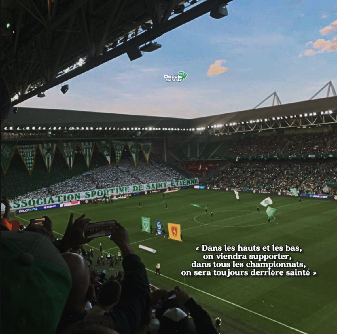 Calinho 💚 tweet media