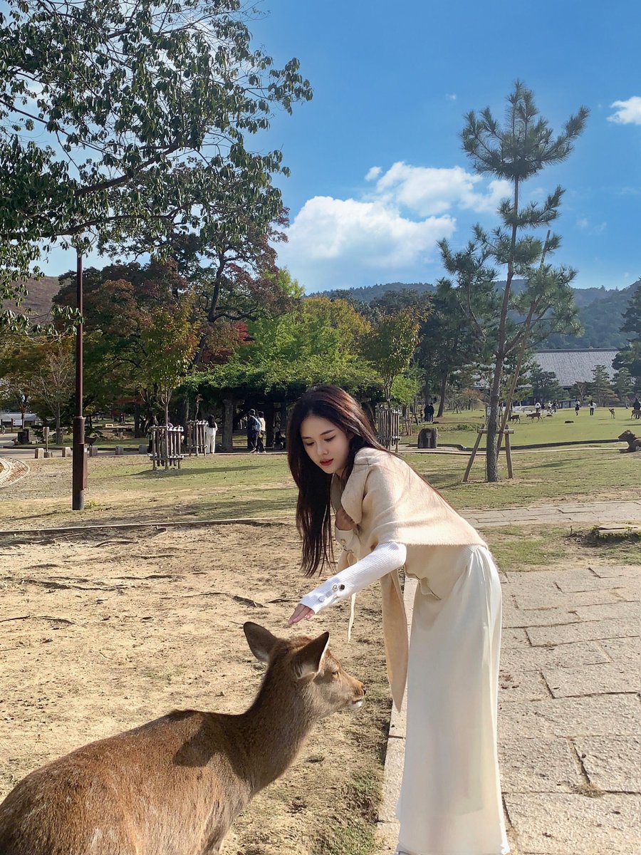 wangsiqi1688's tweet photo. Beautiful weather and mood. https://t.co/J1fdYdj4Bi
