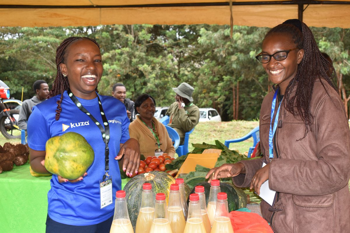 BIBA_Kenya's tweet image. We’re live from Kirinyaga University as Day 2 of the Agroecology symposium kicks off!
Focus today:
.Phasing out toxic pesticides
.Youth engagement in Agroecology
.Growing local agroecology markets
.Promoting the Kilimohai (blue label)
#AgroecologyNow #FoodSovereignty