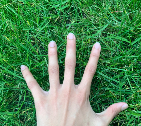 Kim51237312's tweet photo. #openseatouchgrass #opensea @opensea https://t.co/RgXud4ZmFc