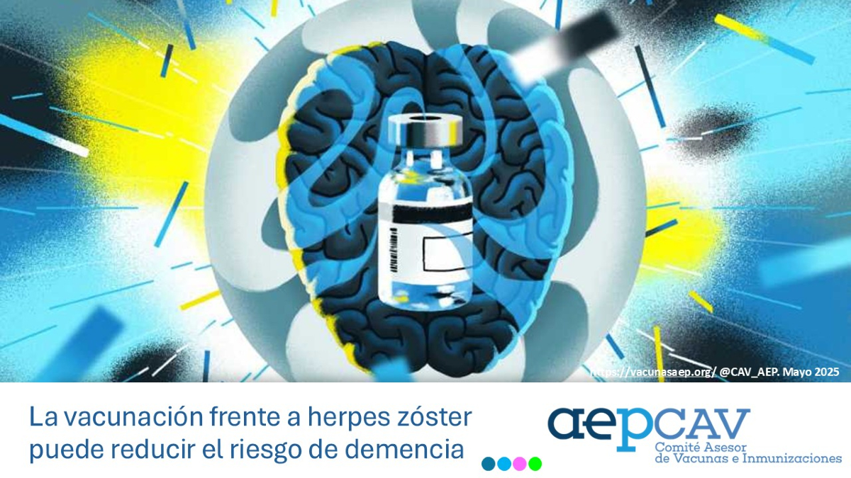 Varios estudios sugieren que la vacunación de los ancianos frente a herpes zóster reduce el riesgo de demencia o retrasa su aparición. El mecanismo podría deberse a que la vacunación disminuye la reactivación del virus en el sistema nervioso central.
vacunasaep.org/profesionales/…