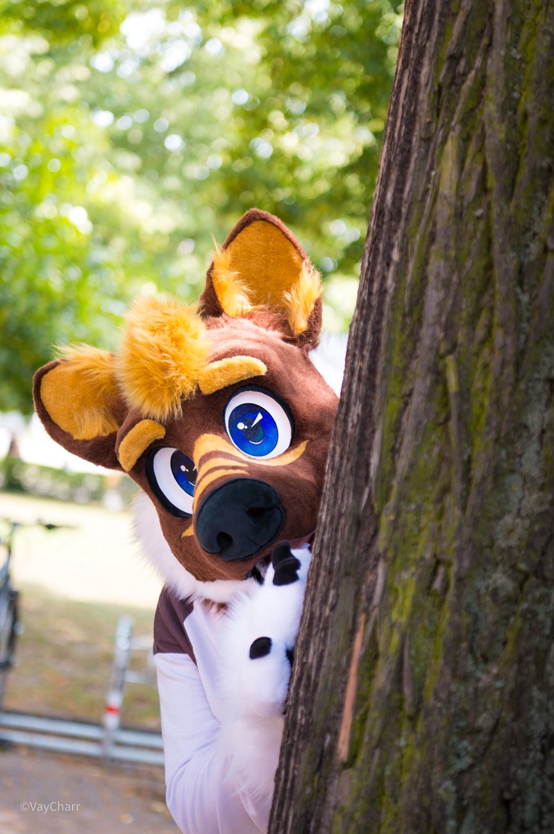 *peaks around the corner* is it #FursuitFriday again?

📸 : <a href="/VayCharr/">Vay ➡️ CFZ</a>
