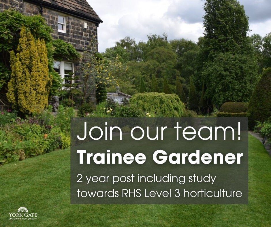 📣 Trainee Gardener vacancy at York Gate!

We're looking for someone to join our team on a 2-year structured training programme, with practical experience and RHS Level 3 study.

Apply by midnight 13 July 2025 👇
perennial.org.uk/about-us/work-…

#PerennialsGardens #Leeds #TraineeGardener