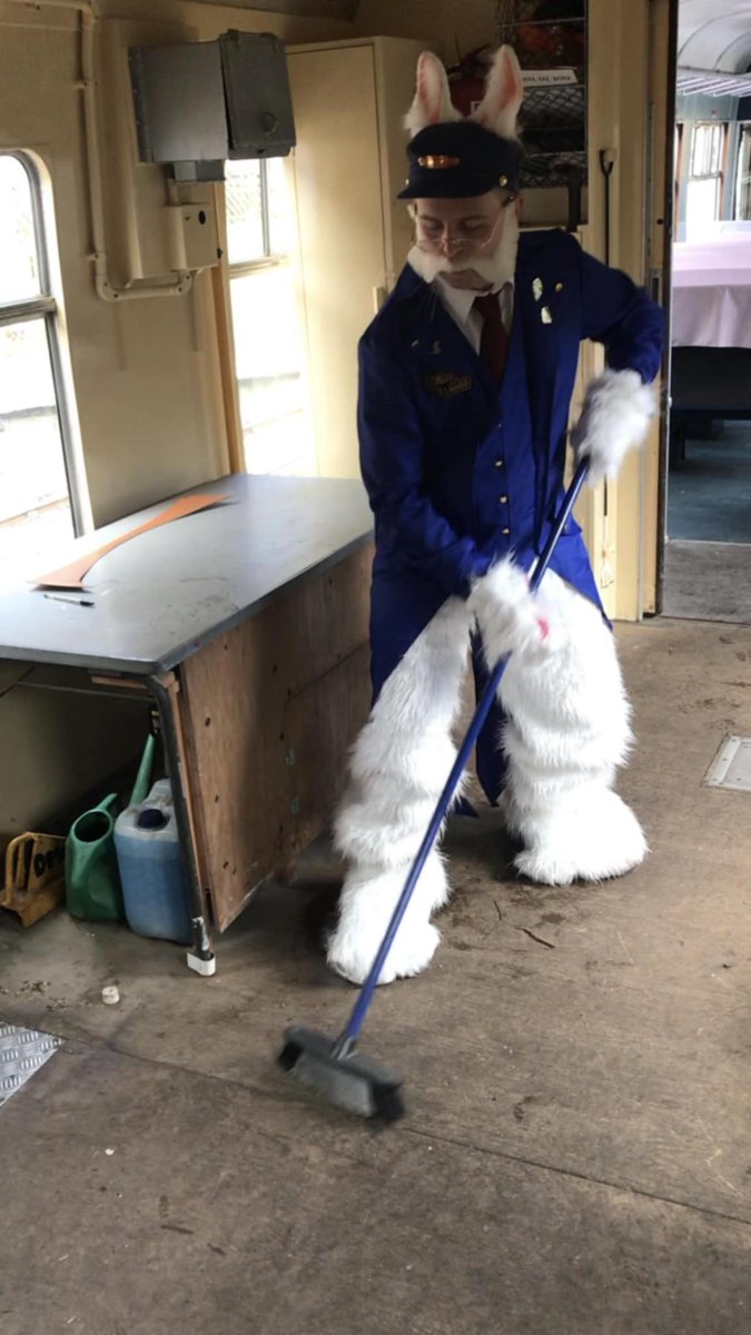 The Forest Railway Stories tweet media