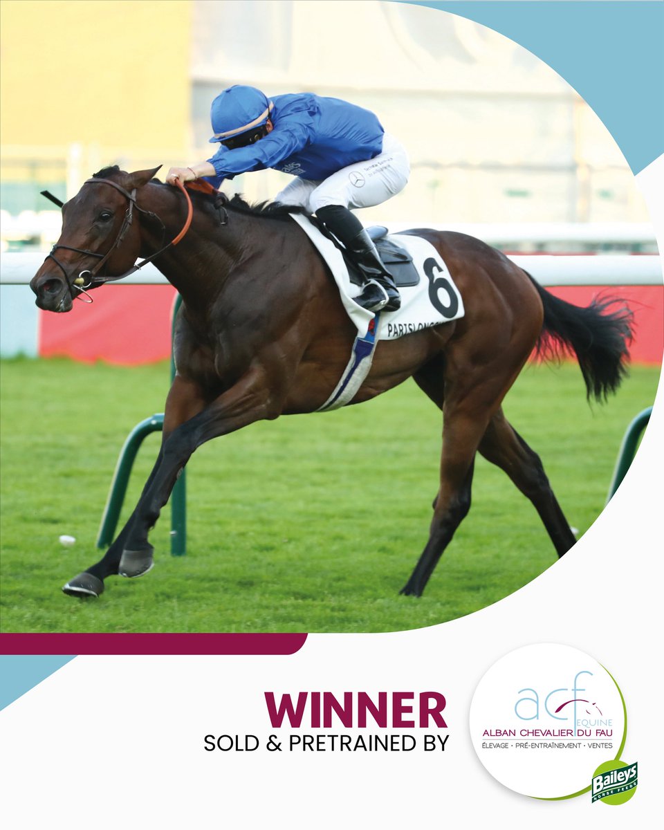 The Channel Consignment & ACF Equine tweet media