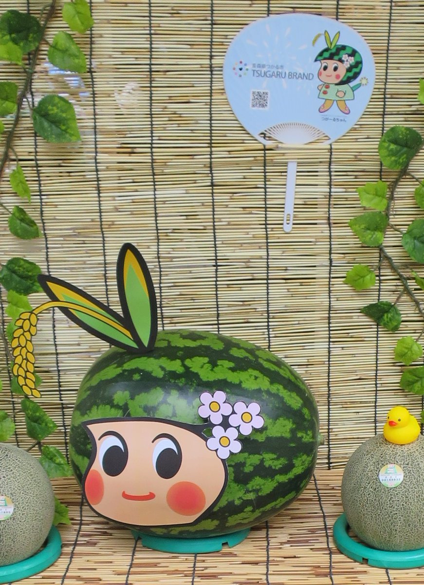 つがーるちゃんです（。∂◡∂。🌼）

ここ最近はずっといいお天気🌞
気温も高い日が続いて
セミの声は聞こえませんが
もう夏が来た感じです(*^-^*)

暑いときに食べたいもの
わたしの場合はスイカ(*'▽')

つがる市の収穫はまだ先ですが
目覚めの冷えスイカはめぇ～♡

でも暑さには気をつけてね♡