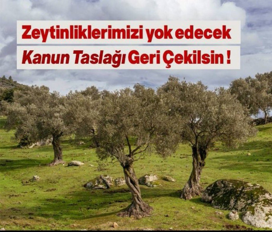 İhanetin Nedeni Olmaz 
Er yada geç bedeli olur. ✌✊✌
#ZeytinimeDokunma