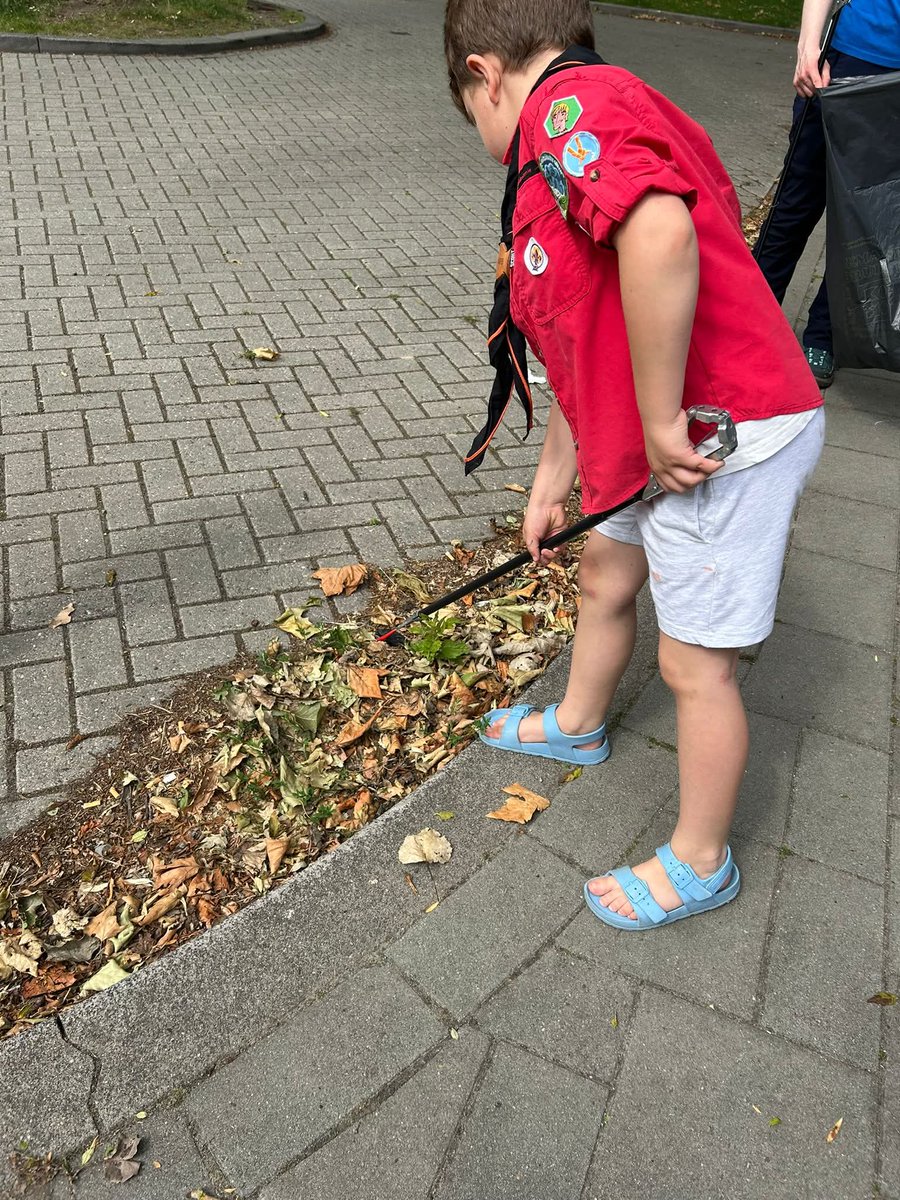 Scout aan de Schie tweet media