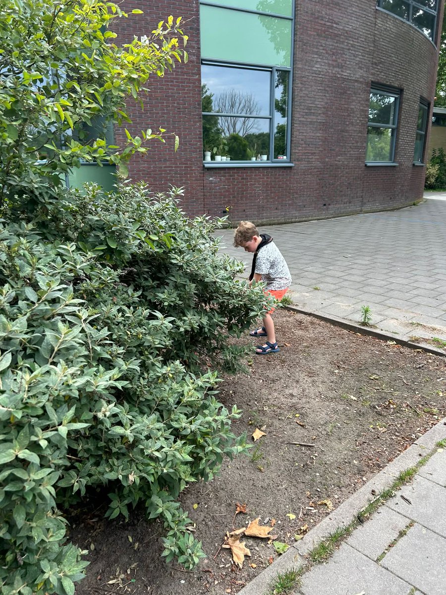 Scout aan de Schie tweet media